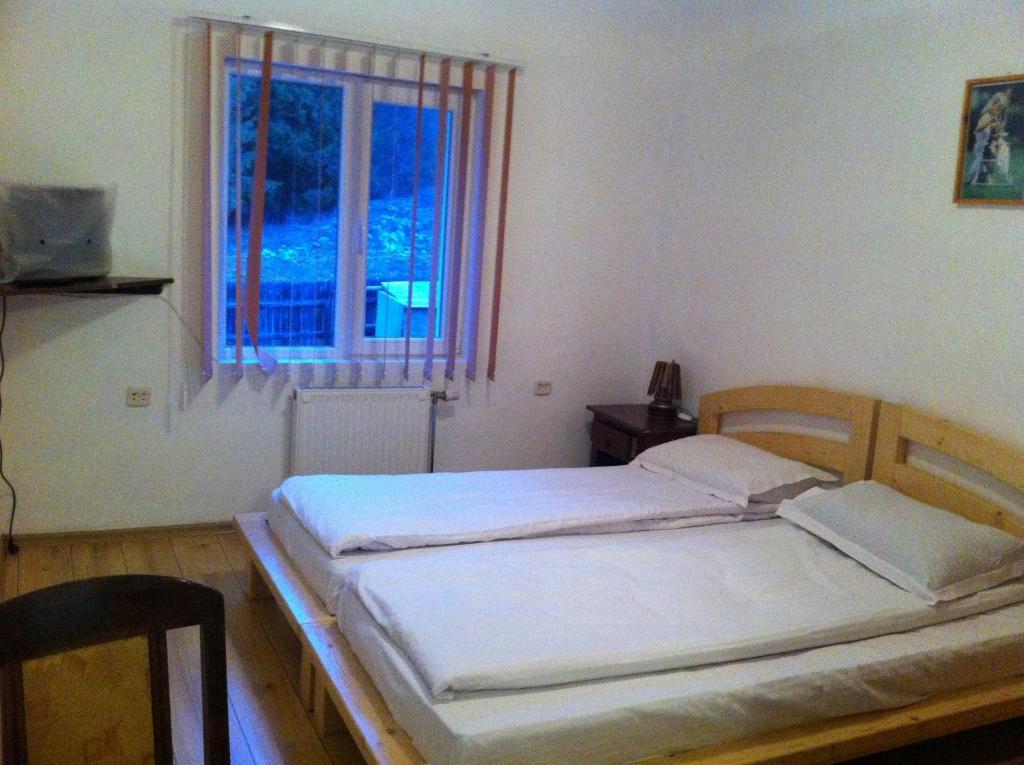 Vila Sport Borsec Pokoj fotografie